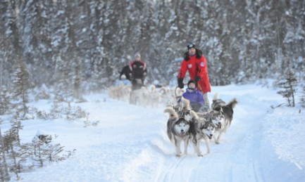 Winter adventure and dog sledding
